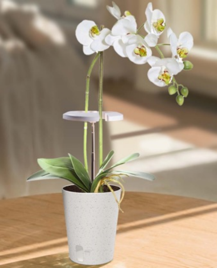 Product 10