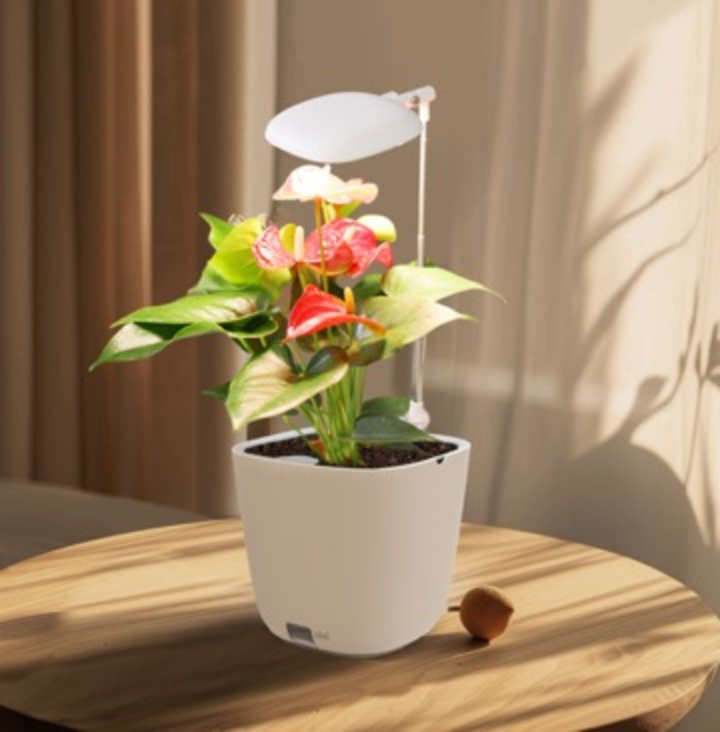 Product 4