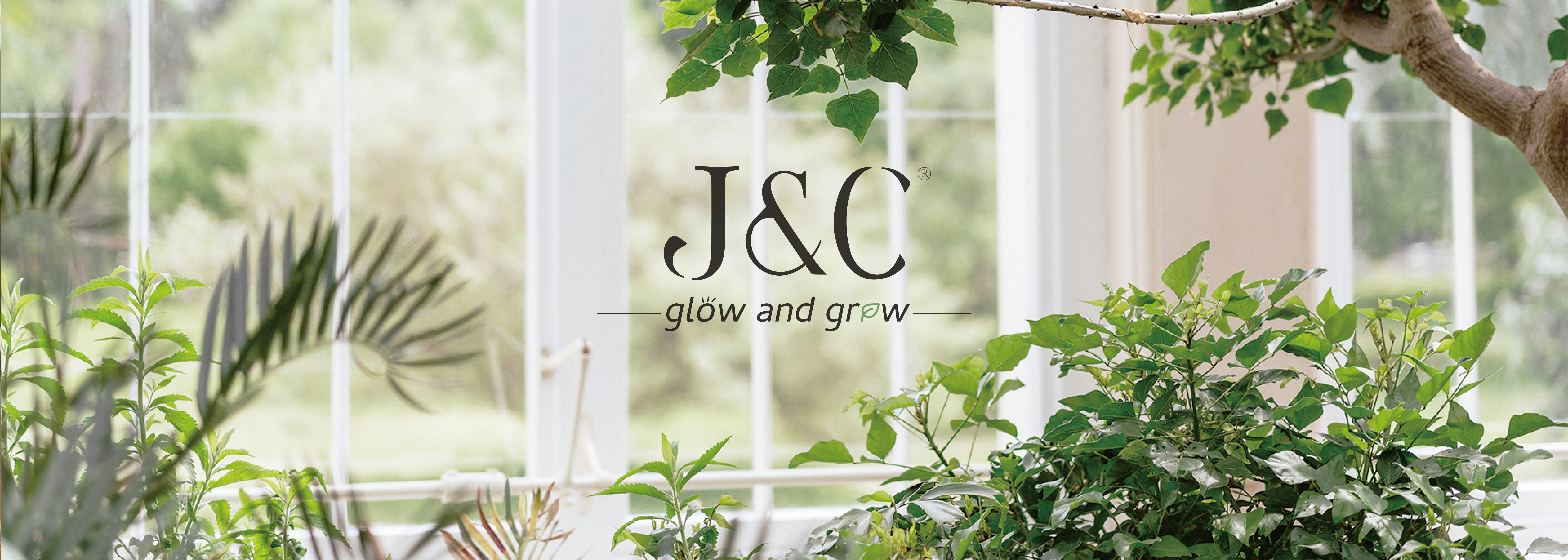 J&C welcome